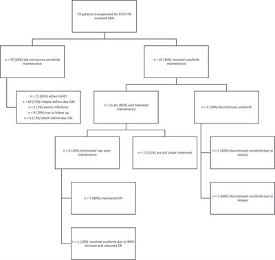 Sorafenib maintenance in FLT3-ITD mutated AML after allogeneic HCT: a real-world, single-center experience
